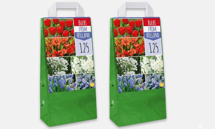 Image 15: 125 o 250 mix di bulbi colorati