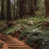 Image 4: Muir Woods & Sausalito Tour with Iconic Views for 1, 2, or 4 People