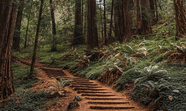 What to expect media