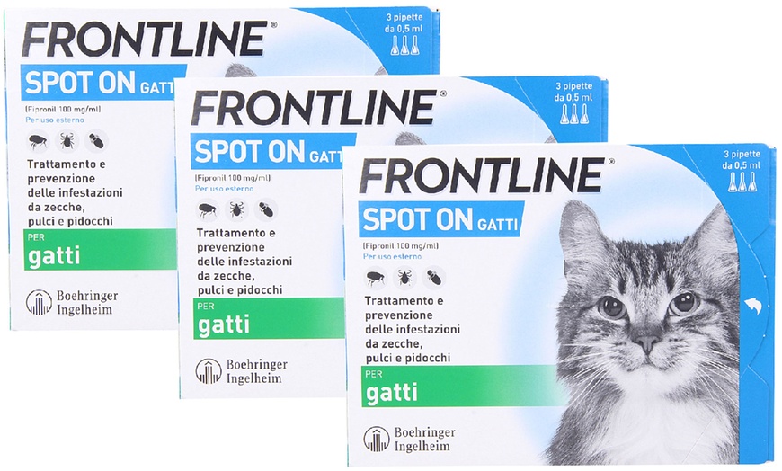 Image 3: Fino a 12 pipette insetticide e acaricide Frontline Spot On gatti
