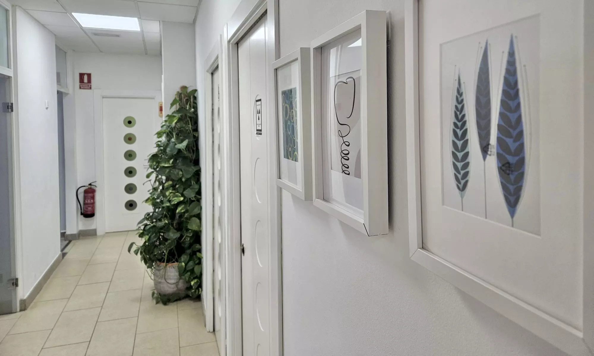 Limpieza dental completa con ultrasonidos, pulido y curetaje opcional