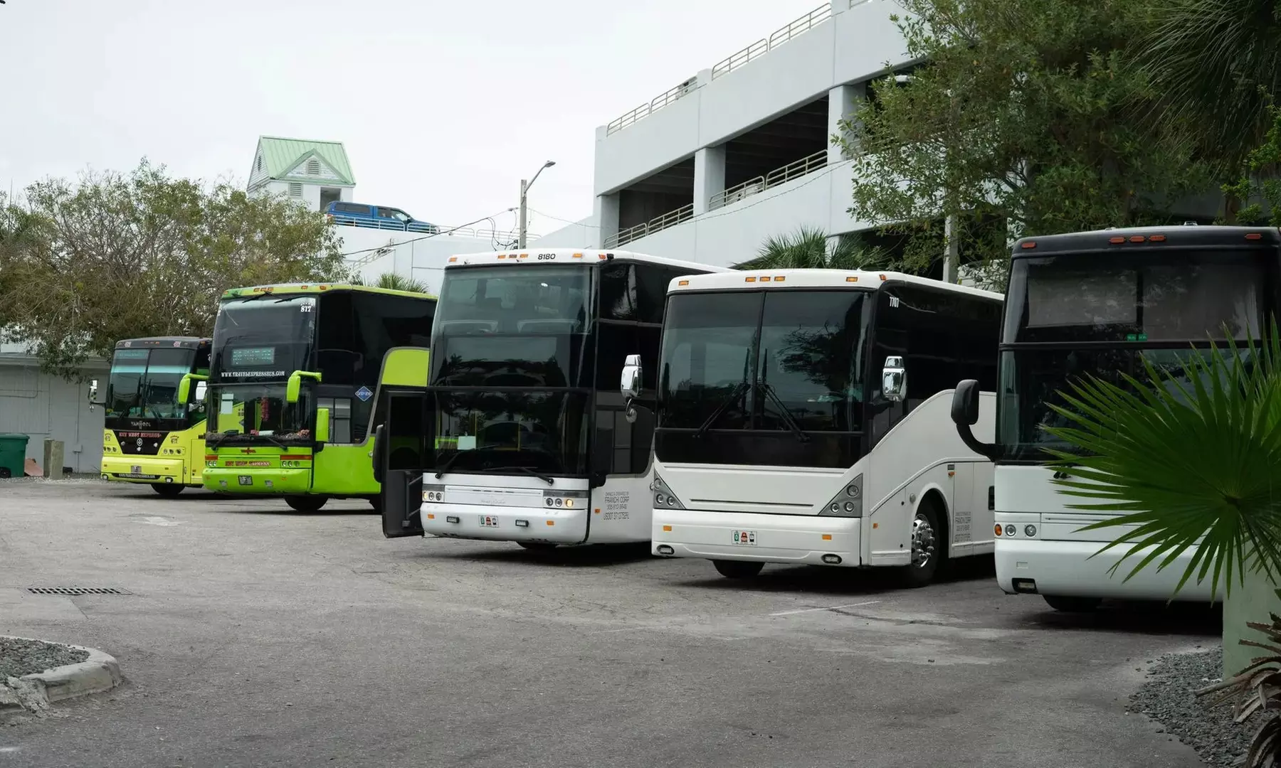Miami Havana Nights Tour with Free 12 Oz Mojito for One, Two or Four @ Key West Sightseeing Tours - Upto 36% Off - Primary Image