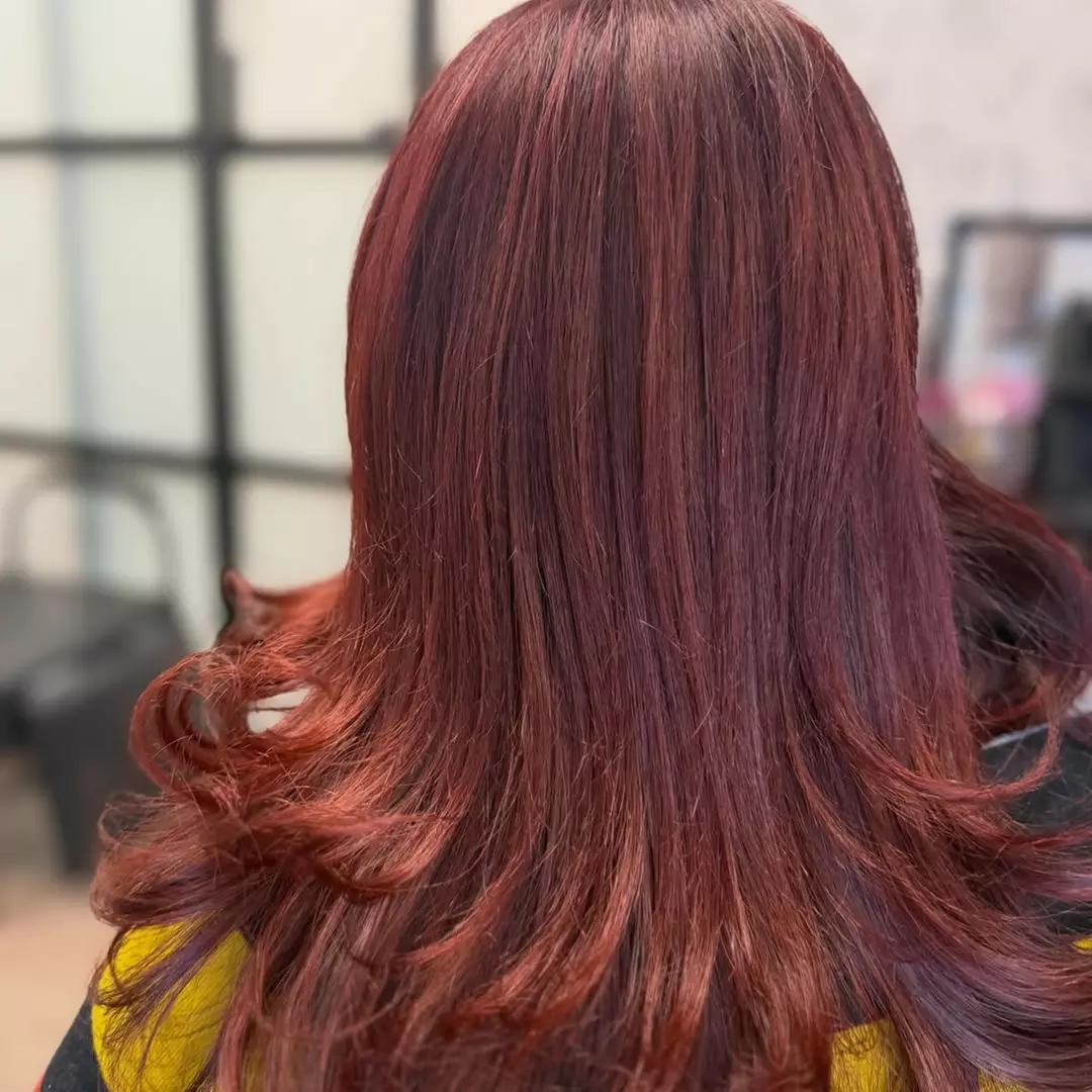 Haircut w/ Shampoo, Conditioning, Style & Optional Color or Highlights