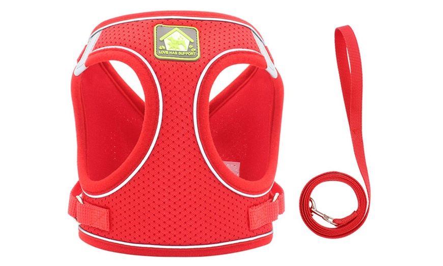 Image 13: Breathable Mesh Step-In Harness and Leash Set for Small Dogs