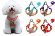 Dog Harness & Leash Set - Reflective, No-Pull (Small/Medium Dogs) - Second Medium