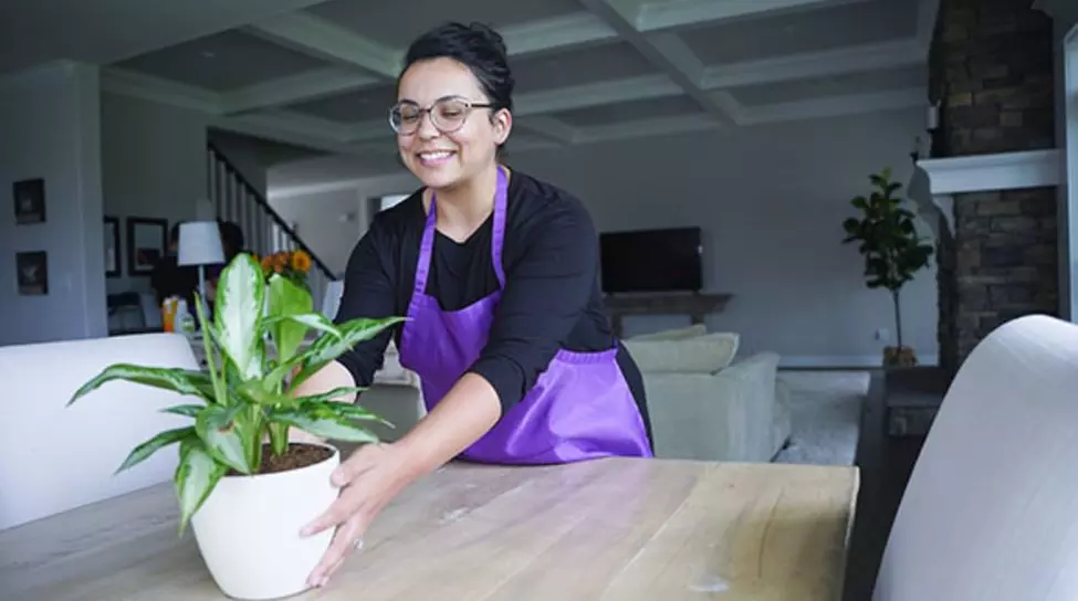 Basic House Cleaning for a Sparkling Home