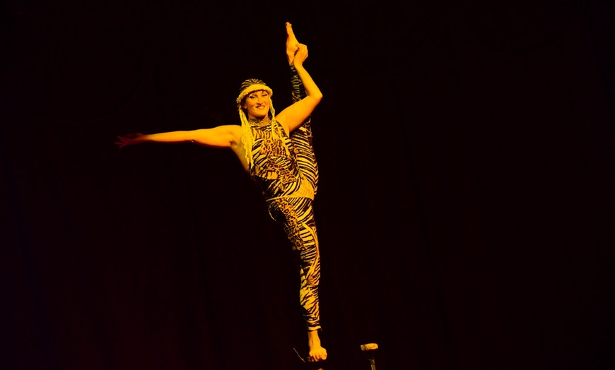 Image 3: Circo David Orfei a Brescia