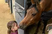 Embark on a One or Two-Day Summer Horseback Evening Mini Camp at Oak Haven Performance Horses (Up to 45% Off) - Second Medium