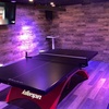 Image 4: One Hour Ping Pong Table Rental Including Paddles and Balls in NY!