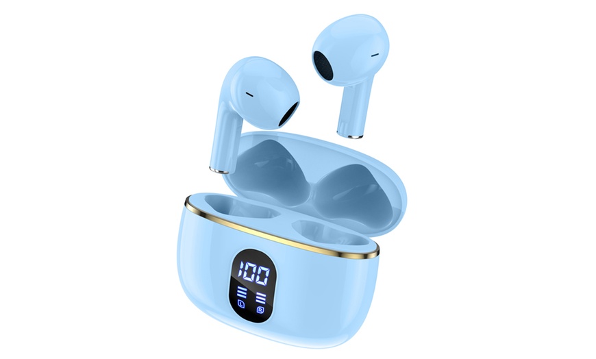 Image 5: Oortjes model Dallas