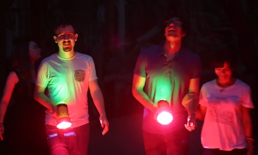 Image 3: 27% Off Lights On: A Nighttime Art Experience at Brevard Zoo