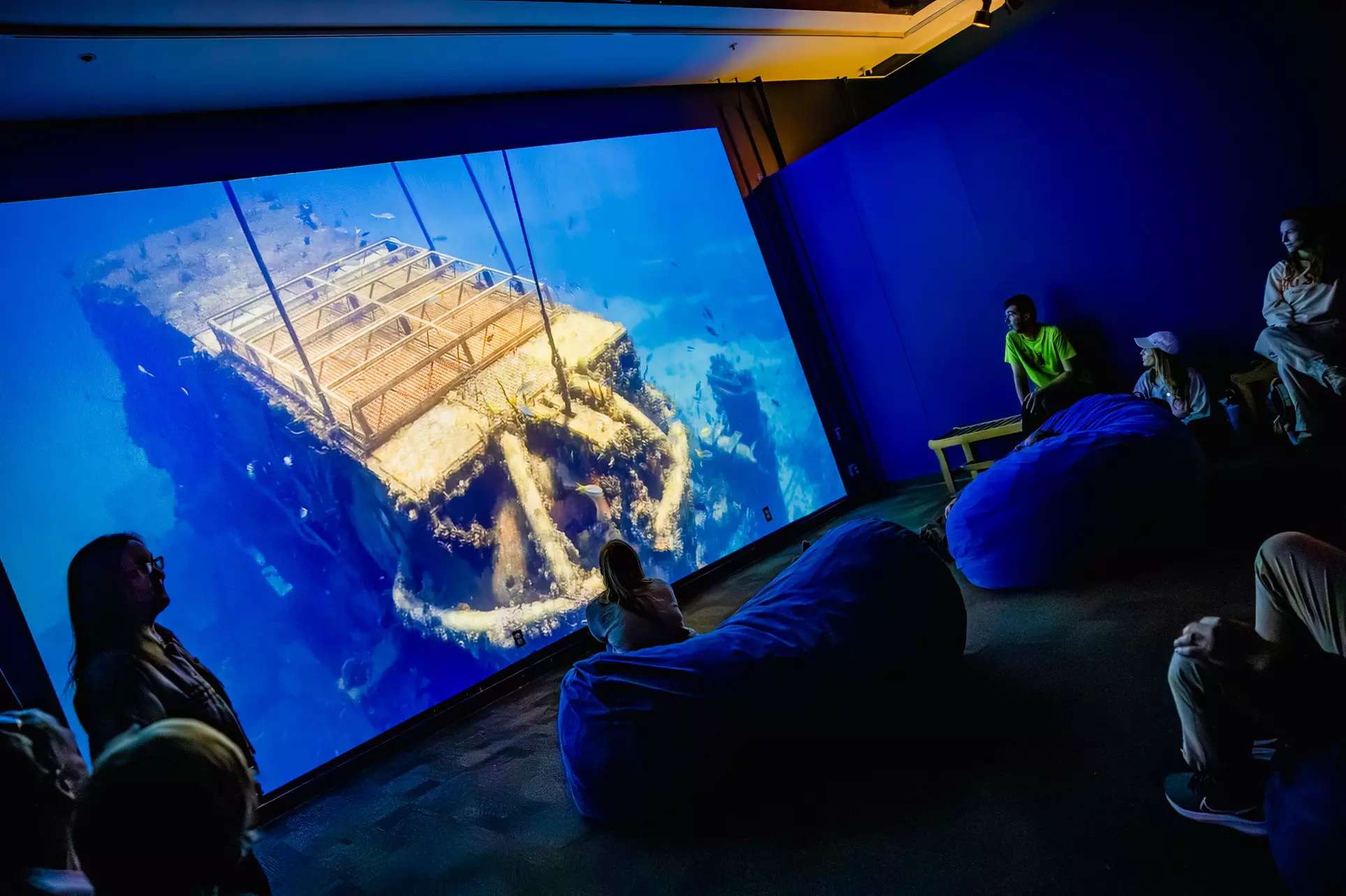 Immerse in a Seas 'n' Greetings Winter Wonderland at Birch Aquarium at Scripps (Save up to 31%)