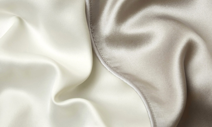 Image 63: Mulberry Silk Beauty Pillowcase Duo