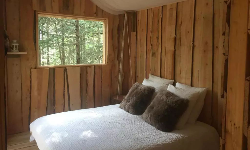 Puy-de-Dôme : 1 nuit avec pdj, option accrobranche et Explor' Game