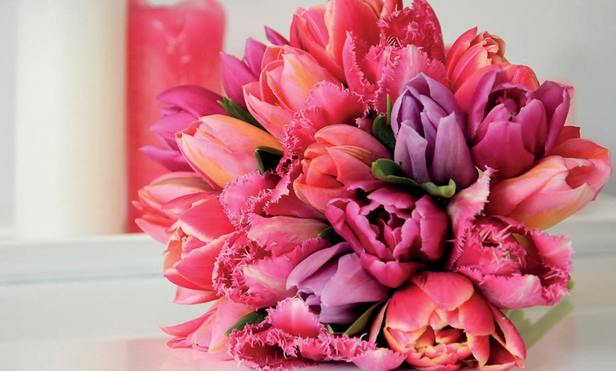 Image 7: Upto 80 Mixed Spring Flowering Tulip Collections Bulbs