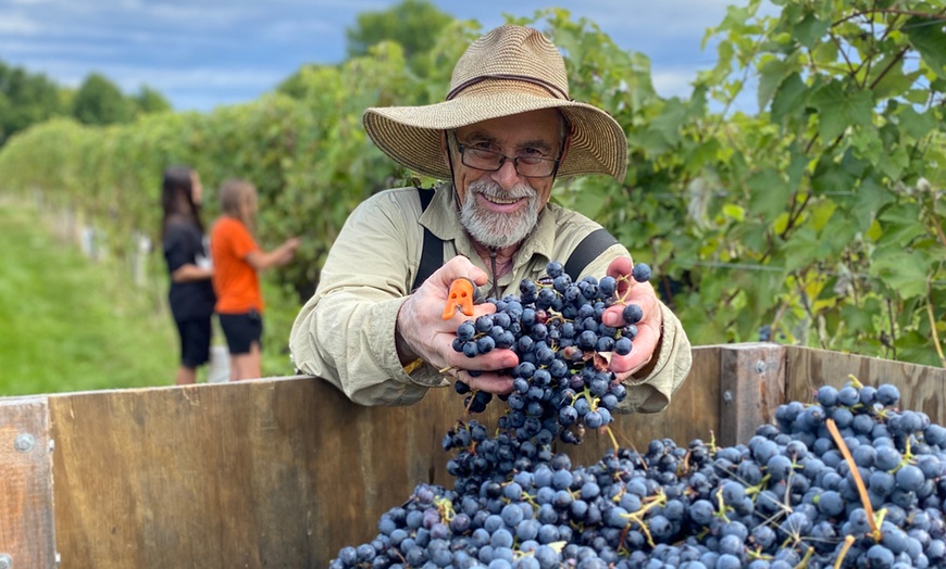 Image 5: Wine Flights, Hungarian Pizza, & Souvenir Wine Glasses for Two or Four