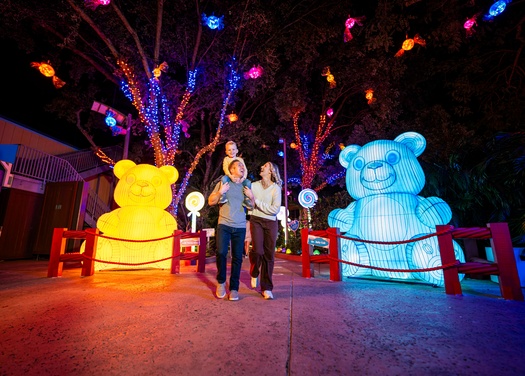 What to expect media