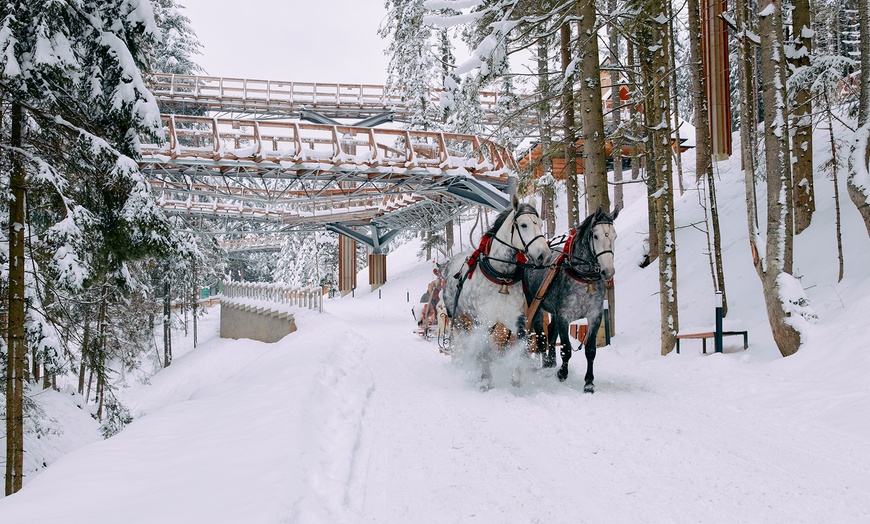 Image 15: Odkryj magię natury w Centrum Przyrodniczo-Edukacyjnym Brama w Gorce