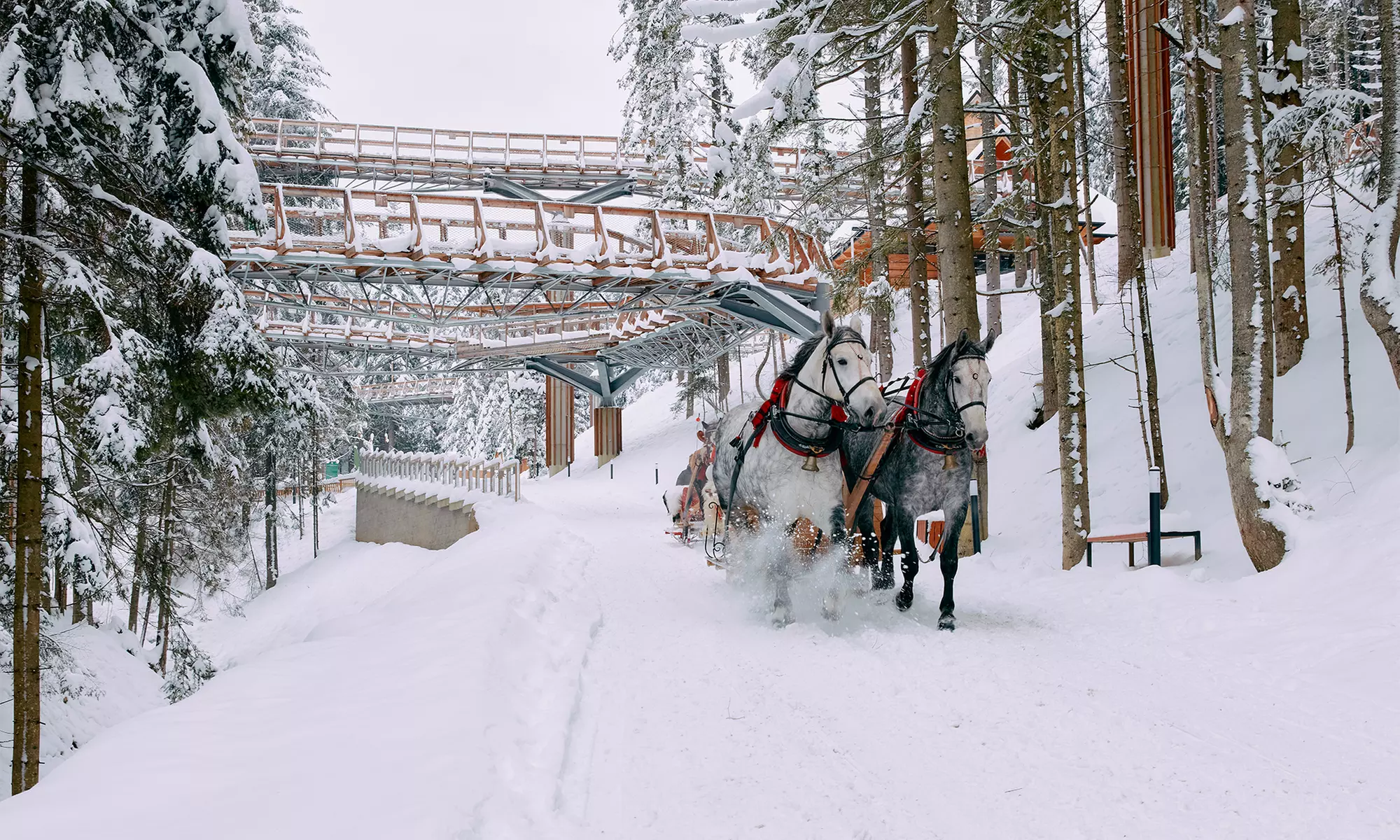 Odkryj magię natury w Centrum Przyrodniczo-Edukacyjnym Brama w Gorce