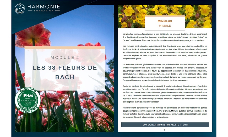 Image 3: Apprenez à équilibrer vos émotions naturellement