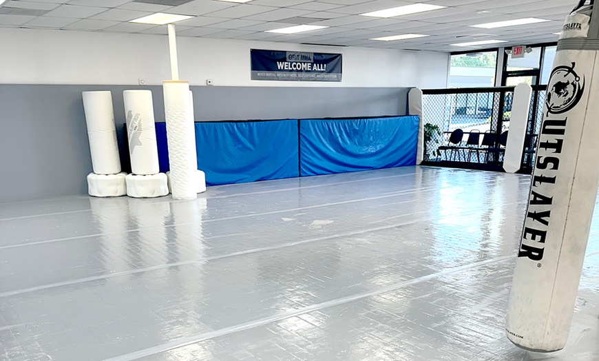 Image 2: Youth or Adult Full Package (Unlimited Classes for 1, 3, or 6 Months)