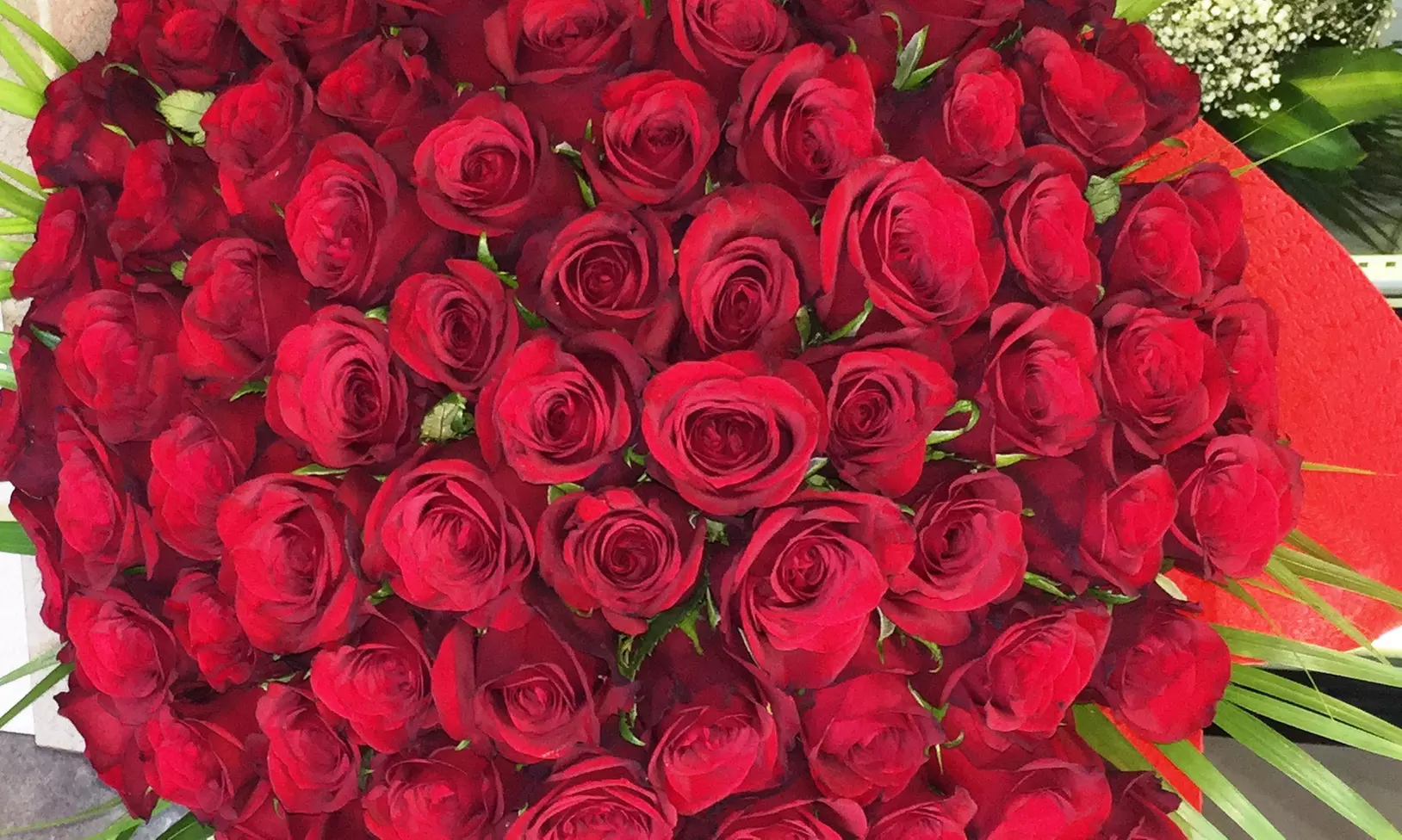 50 to 200 Roses and Card