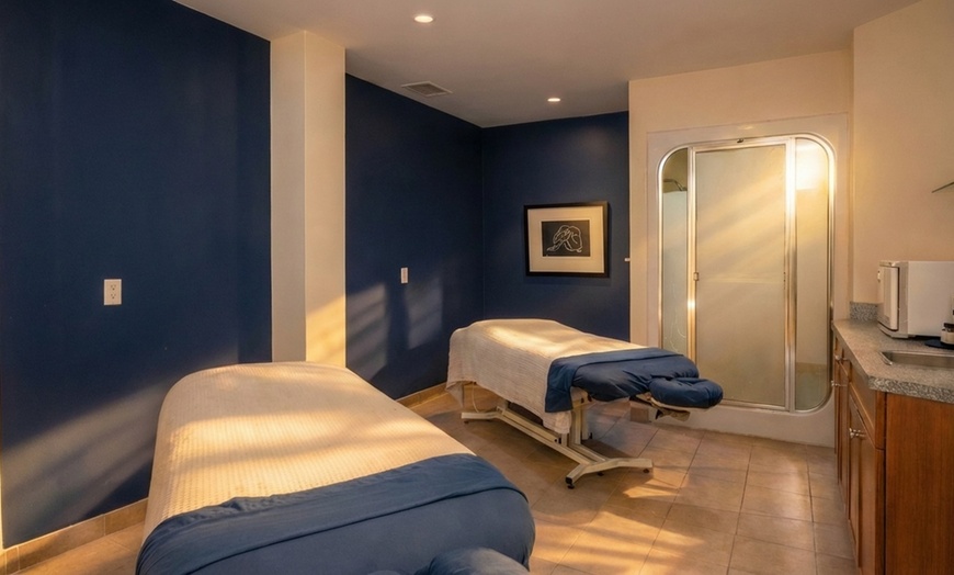 Image 2: Get a Spa Day Pass with Massage, Body Treatment, Facial, or Aveda Pack