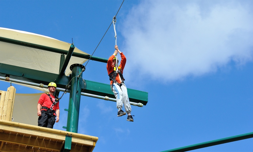 Image 4: Hi Rope Course Experience