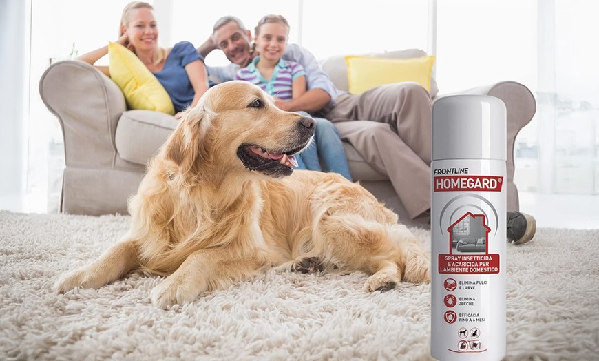 Image 1: 1, 2 o 3 spray con azione insetticida e acaricida Frontline Homegard