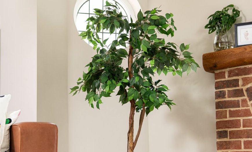 Image 7: Artificial Plants and Trees - Bamboo, Ficus, Olive and Palm