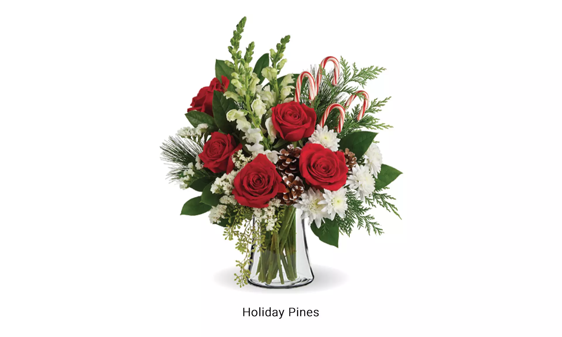 Same Day Christmas Flower Bouquets from Blooms Today with Vase & Standard Delivery Included - Up to 16% Off