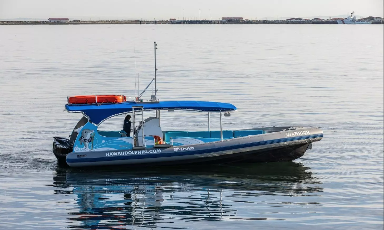 3-Hours Oahu Ocean Adventure w/ Dolphins, Turtles & Water Activities