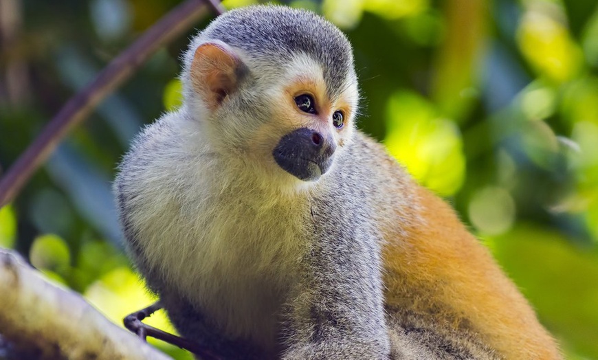 Image 2: ✈ 6-Nt Costa Rica Volcano & Beach Vacation w/ Optional Air & Car