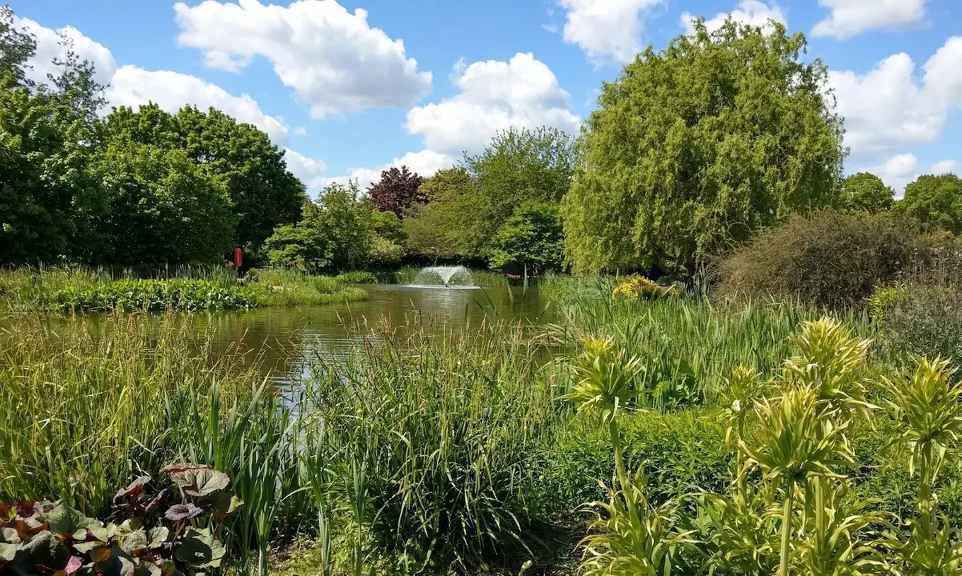 Enjoy Family fun with Entry Tickets for Adults and Childrens