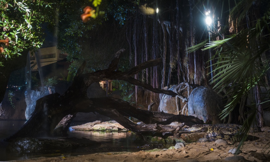 Image 14: Vive un viaje educativo y salvaje con una entrada a Bioparc Fuengirola
