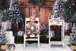 Snap Stunning Holiday Photos with Christmas Mini Photography Session & High-Res Digital Images (Up to 55% Off) - Second Medium