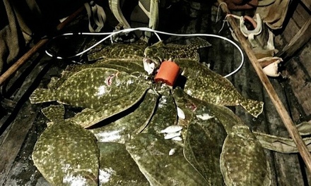 Flounder Gigging for One - BayouBos Outdoors in Bay St. Louis, MS