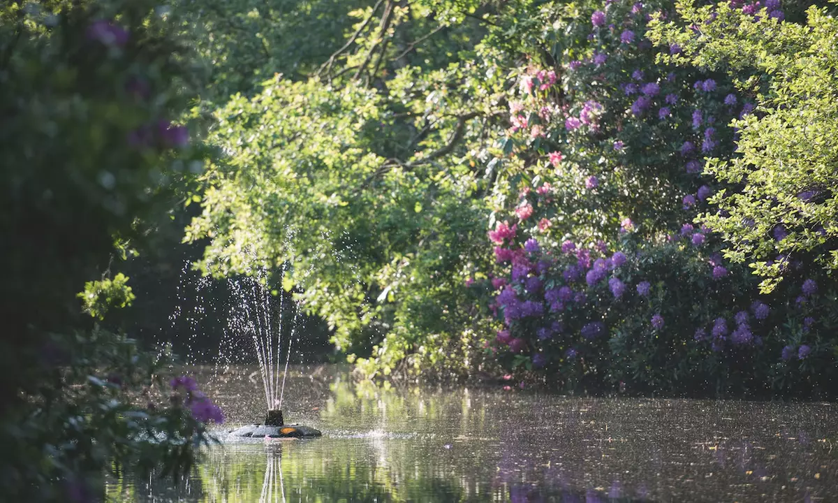 Cheshire: Executive Double Room with Breakfast and Bottle of Prosecco