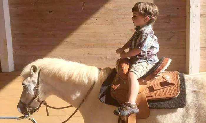 Family Fun Package at the Farm with Hayride, Corn Maze, Games & More