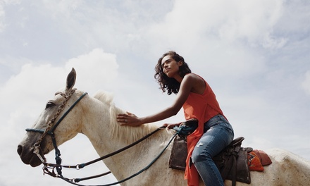 Para 1 persona: Ruta a caballo en Montserrat de 1 h - Centre Hípic Montserrat