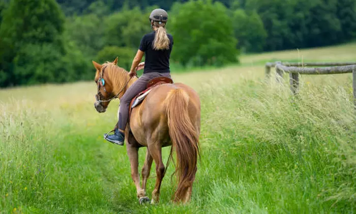 Aventúrate con una ruta a caballo de 90 minutos en Sevilla, para 2 o 4 personas, ahorra hasta un 46% - Image 4