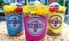 Treat Yourself with $20 or $40 to Spend on Tasty Meals and Drinks at SoBol Moorestown (Up to 38% Off)