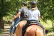 60-Minute Horseback Trail Ride for One, Two, or Four People (Monday-Thursday or Anyday) (Up to 20% Off) - Second Medium