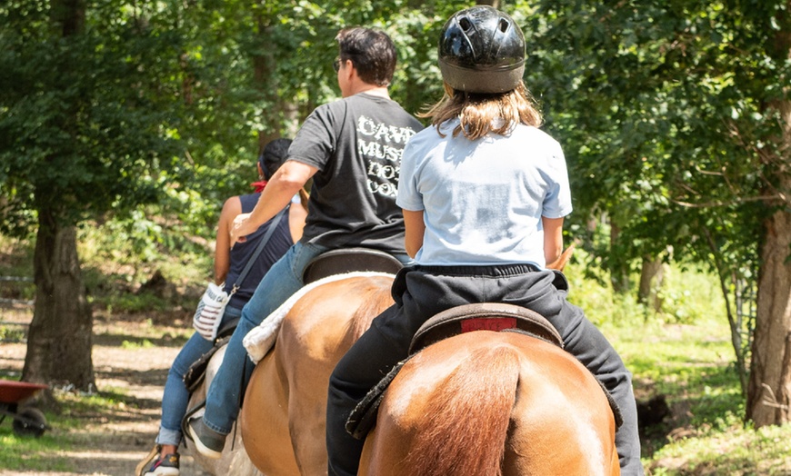 Image 5: 60-Minute Horseback Trail Ride for One, Two, or Four People