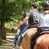Image 5: 60-Minute Horseback Trail Ride for One, Two, or Four People