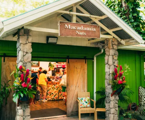 Small-Group Circle Island Tour – Comfortable & Personalized Experience