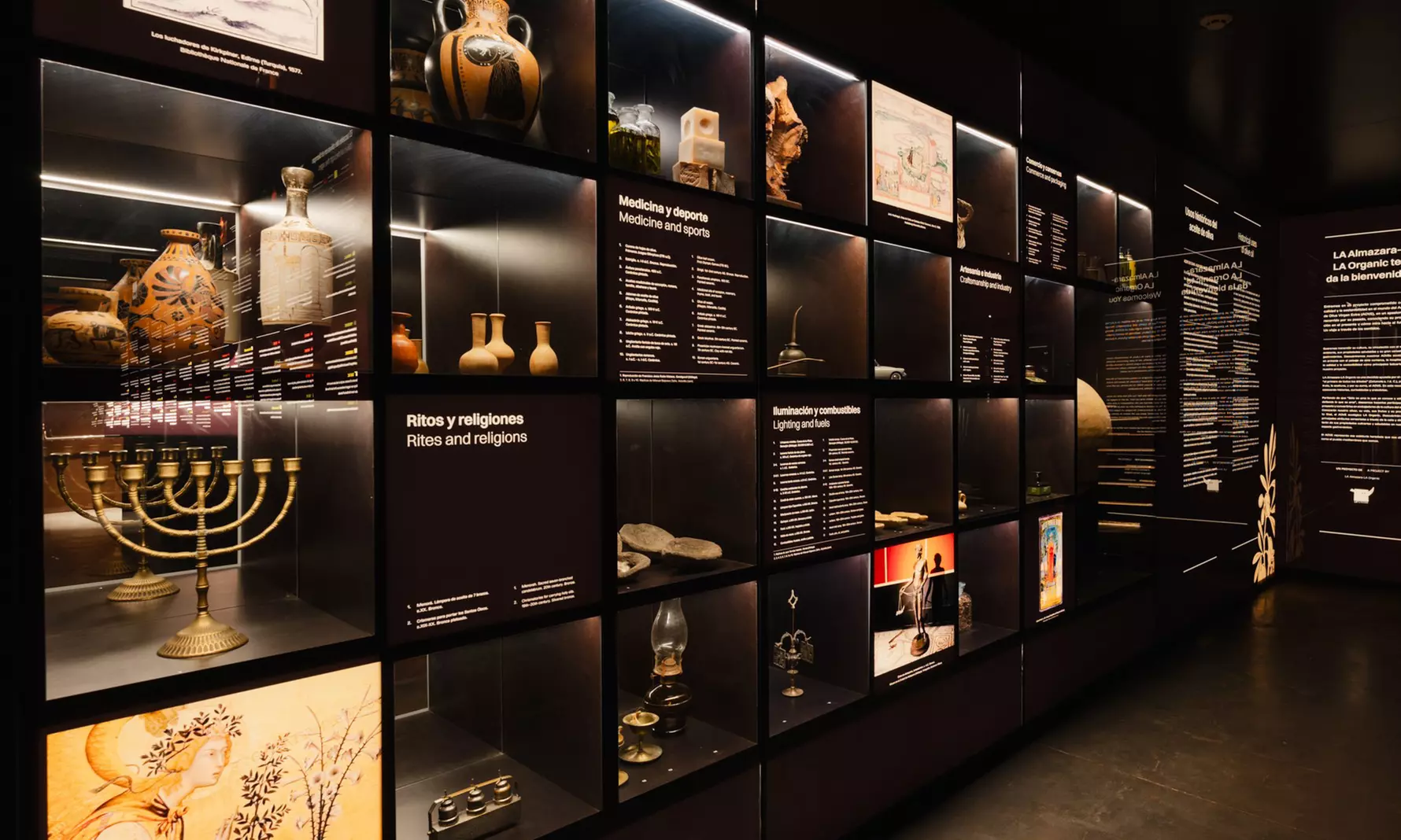 Entradas al Museo del AOVE con visita al olivar y cata de aceites