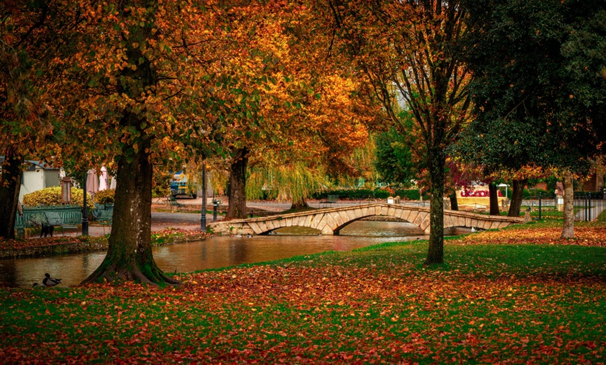 Image 8: Explore Cotswolds: All Entries, Lunch & Premium Seating Tour for All