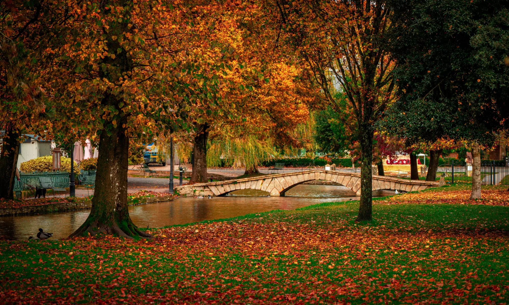 Explore Cotswolds: All Entries, Lunch & Premium Seating Tour for All