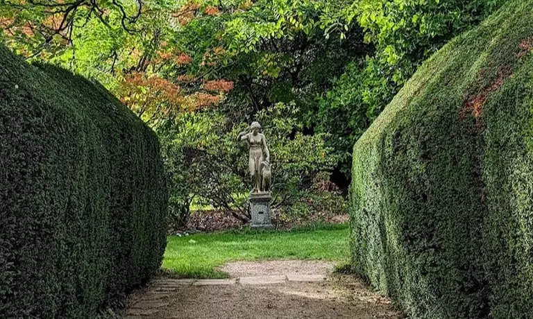 Enjoy Family fun with Entry Tickets for Adults and Childrens